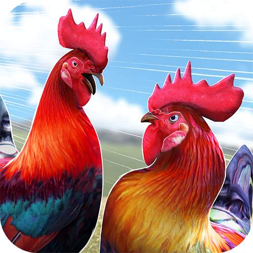 Wild Rooster Run - Frenzy Chicken Farm Race