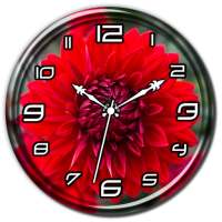 Red Dahlia Clock Live WP