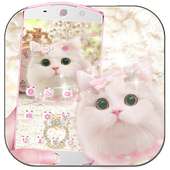 Cute pink kitty Theme