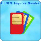 SIM Inquiry Numbers For Mobile
