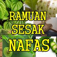 Jenis Ramuan Sesak Nafas Tradisional Paling Ampuh