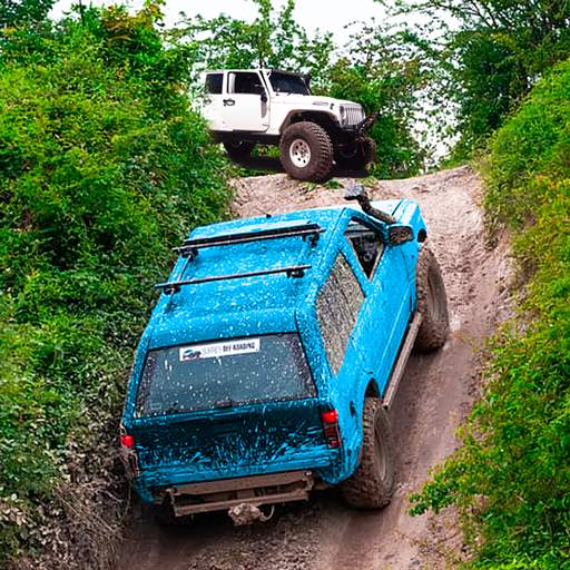 Cargo Jeep Driving Offroad 4x4