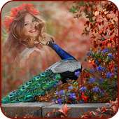 Peacock Photo Frame on 9Apps