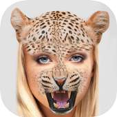 Morphing Furry Faces on 9Apps