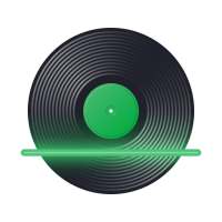 Record Scanner: Platten/CDs erkennen und bepreisen