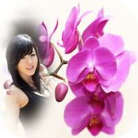 orchid photo frames costume montage editor on 9Apps