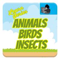 Learn Animals, Birds, Insects on 9Apps