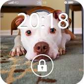 Fancy Screen Lock Dog Face on 9Apps