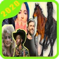 Music Old Town Road on 9Apps