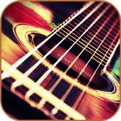 Acoustic guitar (Education)