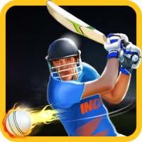Cricket Champions on 9Apps