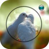 Blur Photo Focus on 9Apps