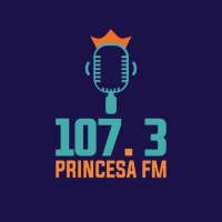 Rádio Princesa 107.3 MHZ on 9Apps