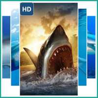 Shark Wallpaper Live on 9Apps