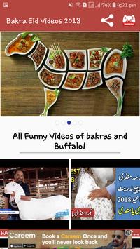 Bakra on sale funny videos