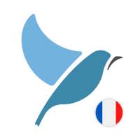 Learn French. Speak French. Study French. on 9Apps
