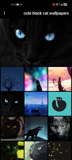 1280x2120 Black Cat iPhone 6 HD 4k Wallpapers Images Backgrounds Photos  and Pictures
