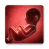 Pregnancy Care - Baby Care on 9Apps