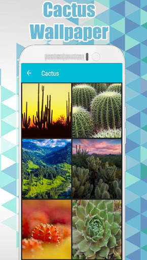 Cactus Wallpaper 🌵 स्क्रीनशॉट 1