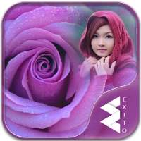 Macro Rose Photo Frames on 9Apps