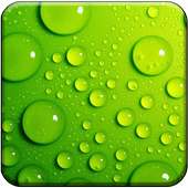 Water Drop HD Live Wallpaper on 9Apps