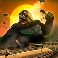 King Kong Wild Gorilla Rampage