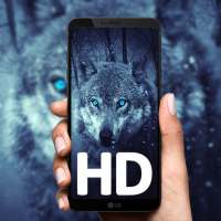 HD Wallpapers Blast | HD Backgrounds For Mobile on 9Apps