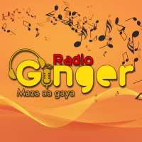 Radio Ginger- Hindi Songs | Latest songs Music App