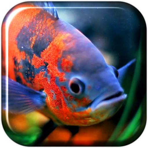 Aquarium 3D. Video Wallpaper