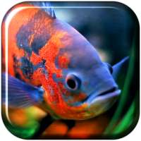 Aquarium 3D. Video-Wallpaper