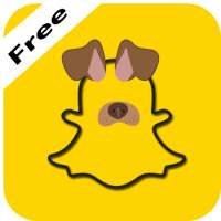 Free Filters for Photos New