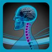 SpineEffects on 9Apps