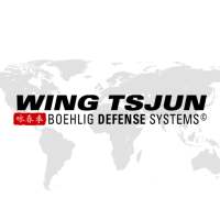 BDS Wing Tsjun International on 9Apps