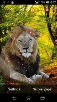 Lion Live Wallpaper APK Download 2023 - Free - 9Apps Lion Live Wallpaper APK Download 2023 - Free - 9Apps