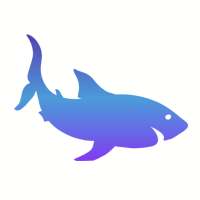 Shark Free VPN