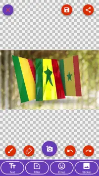 🇲🇱 Emoji Drapeau du Mali