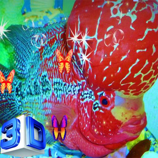 Flowerhorn Fish Special Live Wallpaper