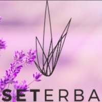 Seterba on 9Apps