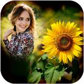 Sunflower Photo Frame on 9Apps