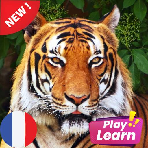 Learn Animals in French : Picture Quiz & Spelling