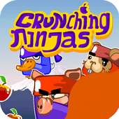 Crunching Ninjas