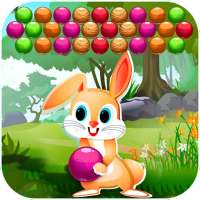 Thỏ Bubble Shooter 2021