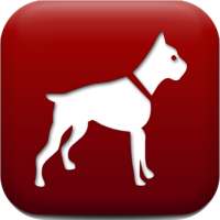 Dog Breed Auto Identify Photo on 9Apps