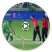 Funny Cricket Videos 2017