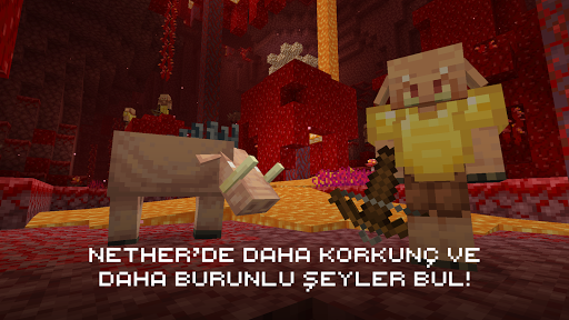 Minecraft screenshot 5