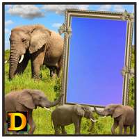 Elephant Photo DP on 9Apps