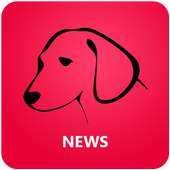 Free Newsdog Live India News Advice