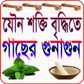 যৌন শক্তি বৃদ্ধি গাছের গুনাগুন