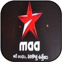 Guide for MAA TV - 2020