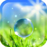 Spring Bubbles LWP on 9Apps